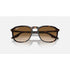 Ray-Ban RB2203