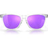 Oakley Frogskins