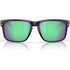 Oakley Holbrook