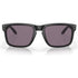 Oakley Holbrook