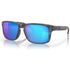 Oakley Holbrook