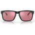 Oakley Holbrook