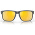 Oakley Holbrook