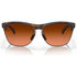 Oakley Frogskins Lite