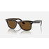 Ray-Ban Wayfarer
