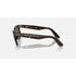 Ray-Ban Wayfarer
