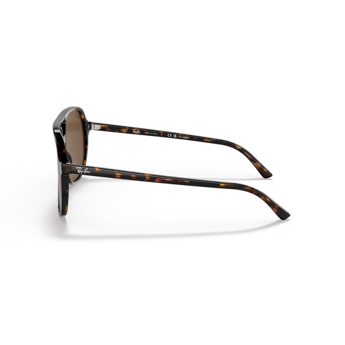 Ray-Ban Bill
