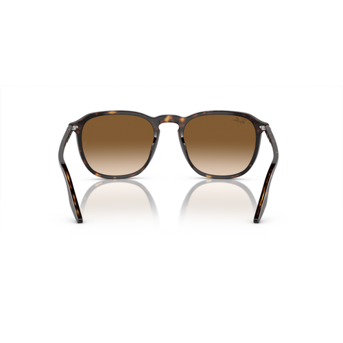 Ray-Ban RB2203