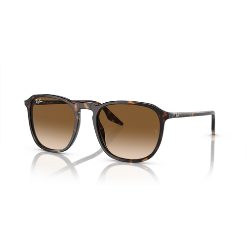 Ray-Ban RB2203