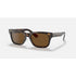 Ray-Ban Burbank