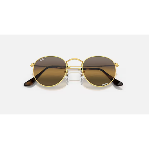 Ray-Ban Round Metal