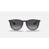 Ray-Ban Erika