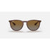 Ray-Ban Erika