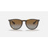 Ray-Ban Erika