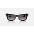 Ray-Ban Wayfarer