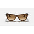 Ray-Ban Wayfarer