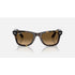 Ray-Ban Wayfarer