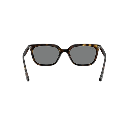 Ray Ban 0RB4439
