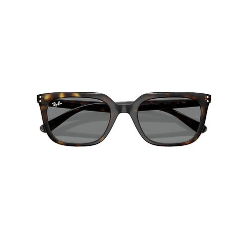 Ray Ban 0RB4439