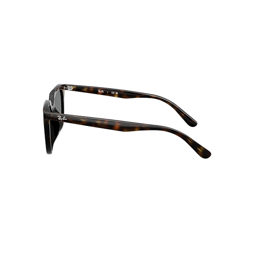 Ray Ban 0RB4439
