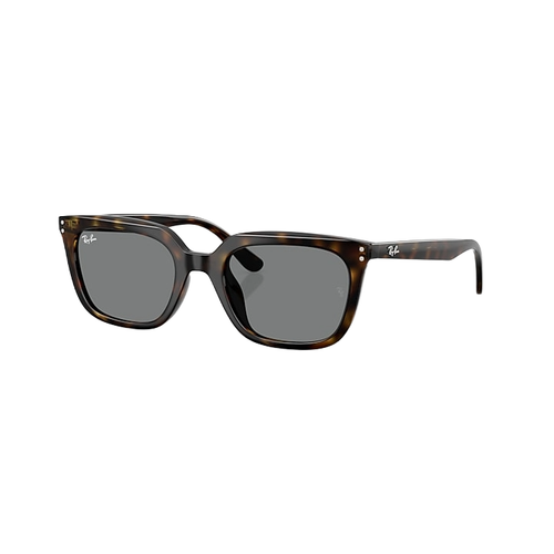Ray Ban 0RB4439