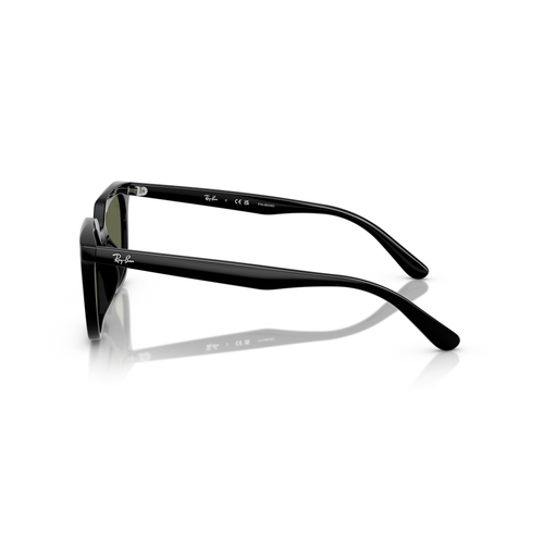 Ray Ban 0RB4439D
