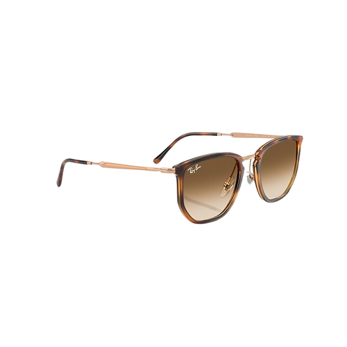 Ray Ban 0RB4451
