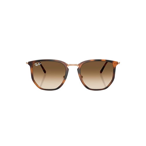 Ray Ban 0RB4451