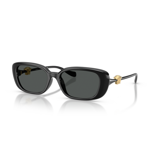 Versace 0VE4504D