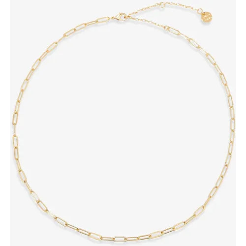 Pura Vida Harper Paperclip Chain Necklace