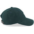 Brixton Parsons LP Cap