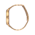 Nixon Arrow All Gold / White