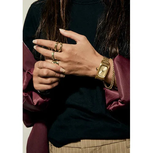 Load image into Gallery viewer, Nixon Frankie

