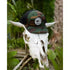 Salty Crew Bruce Camo Trucker