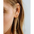 Luv Aj Capri Wire Hoops