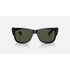 Ray-Ban Mega Wayfarer