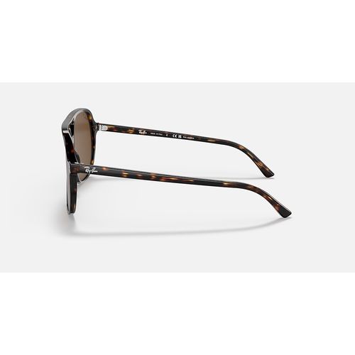 Ray-Ban Bill