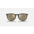 Ray-Ban Erika