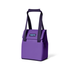 YETI Daytrip Insulated Bag