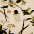 Odesse Spray Perfume