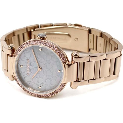 Coach Cary Watch