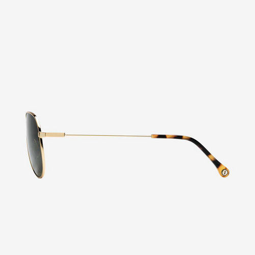 Electric AV1 (Polarized)