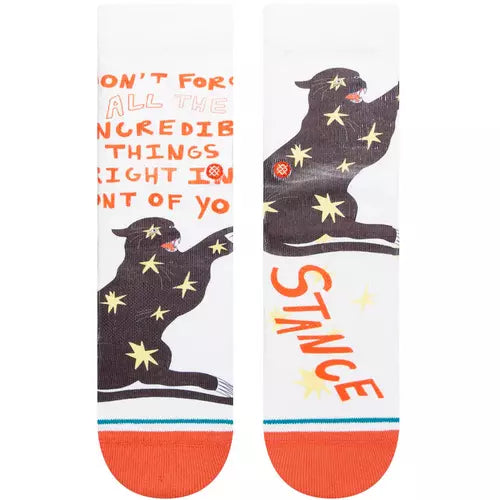 Load image into Gallery viewer, Stance Elena Fiorenza X Stance Incredible Things Crew Socks
